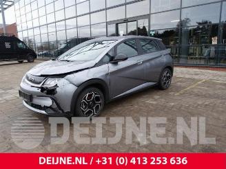 BYD Dolphin Dolphin, Hatchback 5-drs, 2021 60,4 kWh picture 3