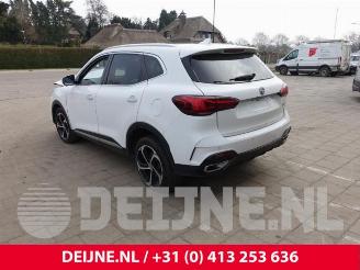 MG EHS HS/EHS I (AS23), SUV, 2018 1.5 EHS T-GDI Hybrid picture 5
