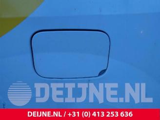 Renault Kangoo Kangoo Express (FW), Van, 2008 1.5 dCi 75 FAP picture 29