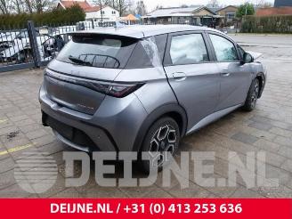 BYD Dolphin Dolphin, Hatchback 5-drs, 2021 60,4 kWh picture 7