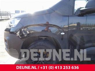 Fiat Doblo Doblo Cargo, Van, 2022 1.5 D Multijet 130 picture 9