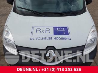 Renault Kangoo Kangoo Express (FW), Van, 2008 1.5 dCi 90 FAP picture 34