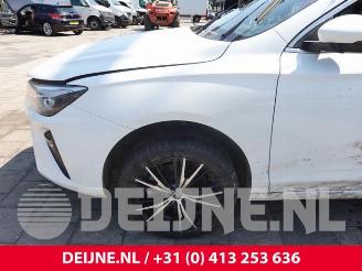 MG MG5 MG5 Electric, Combi, 2020 Standard Range 50 kWh picture 9