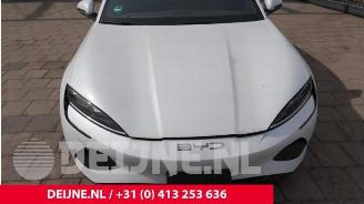 BYD SEAL Seal, Hatchback, 2022 Design RWD 82.5 kWh picture 34
