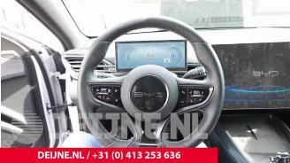BYD SEAL Seal, Hatchback, 2022 Design RWD 82.5 kWh picture 22