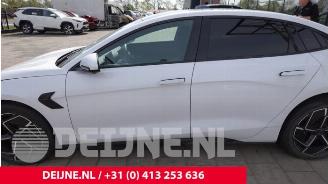 BYD SEAL Seal, Hatchback, 2022 Design RWD 82.5 kWh picture 16