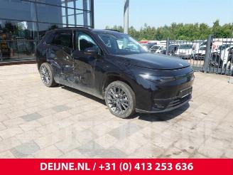Purkuautot passenger cars Leapmotor C10 C10, SUV, 2020 69.9 kWh 2025/4