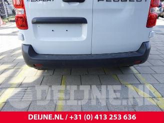 Peugeot Expert Expert (V1/VA/VB/VE/VF/VT/VY), Van, 2016 e-Expert picture 11
