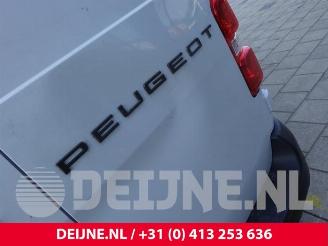Peugeot Expert Expert (V1/VA/VB/VE/VF/VT/VY), Van, 2016 e-Expert picture 13