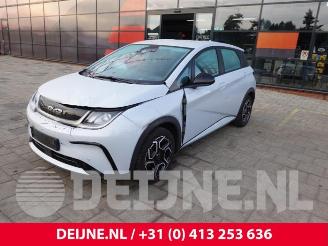 BYD Dolphin Dolphin, Hatchback 5-drs, 2021 60,4 kWh picture 3