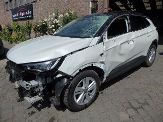 damaged machines Opel Grandland X Innovation 2021/9
