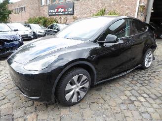 Auto incidentate Tesla Model Y  2024/1