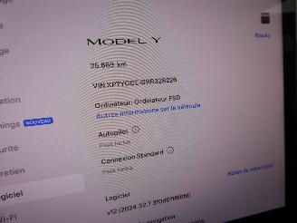 Tesla Model Y  picture 20