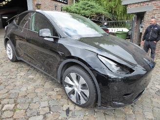 Tesla Model Y  picture 4