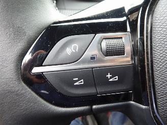 Peugeot 2008 e- Allure picture 18