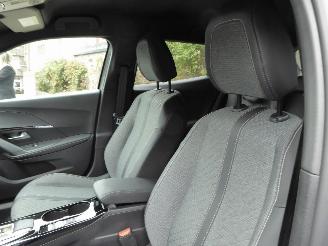 Peugeot 2008 e- Allure picture 12