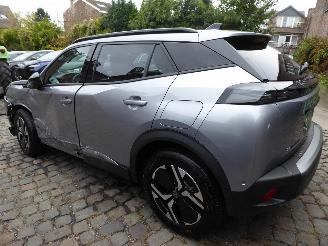 Peugeot 2008 e- Allure picture 9