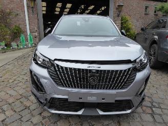 Peugeot 2008 e- Allure picture 4