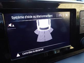 Skoda Kamiq  picture 18