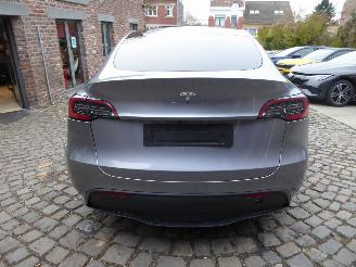 Tesla Model Y Long Range Dual AWD picture 6