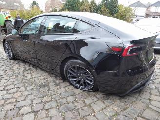 Tesla Model 3 Long Range Dual AWD picture 9