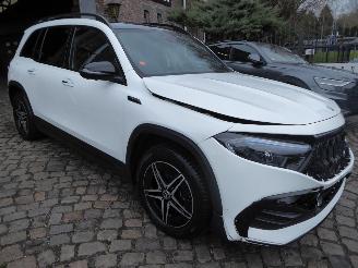 Mercedes EQB 300 4Matic AMG Line picture 5