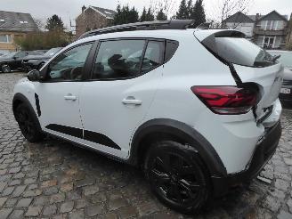 Dacia Sandero TCe 90 Stepway Extreme picture 7