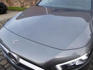 Mercedes A-klasse 250 e picture 27