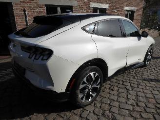 Ford Mustang Mach-e Mach-E Premium picture 8