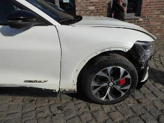 Ford Mustang Mach-e Mach-E Premium picture 7