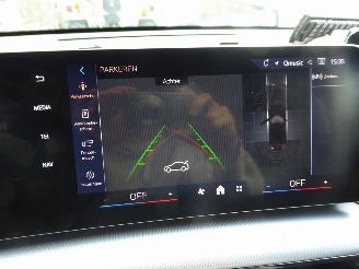 BMW X1 25 e xDrive picture 23