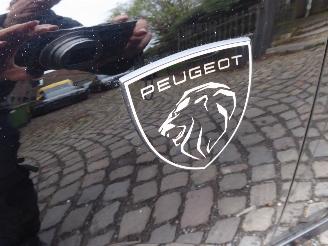 Peugeot 308 SW GT picture 2