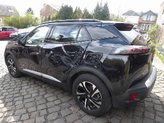 Peugeot 2008 e- GT picture 9