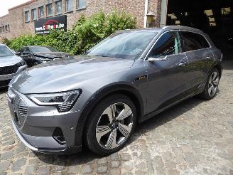 škoda osobní automobily Audi E-tron 55 quattro advanced 2019/6