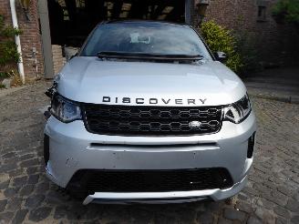 Land Rover Discovery Sport Hybrid SE AWD picture 2
