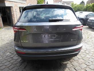 Skoda Karoq Ambition picture 6
