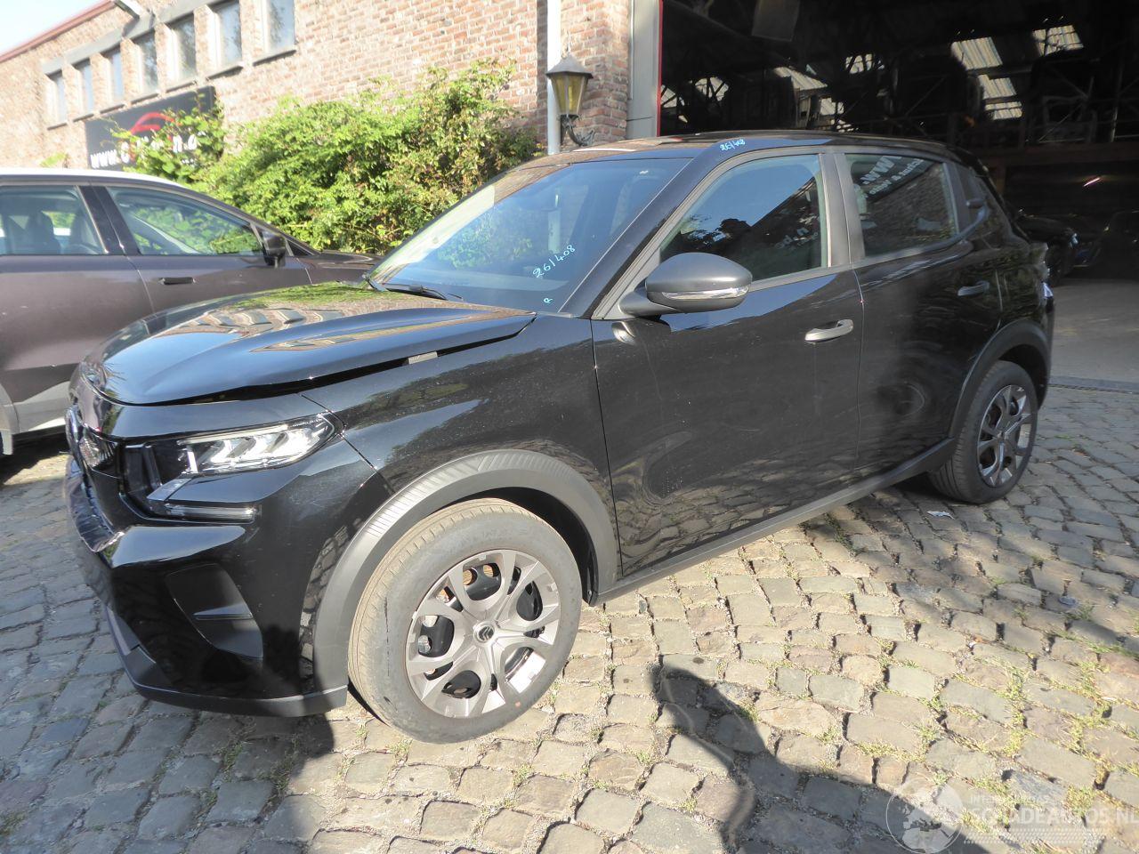 Citroën C3 ë 113 YOU