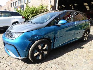 Voiture accidenté BYD Dolphin  2024/9
