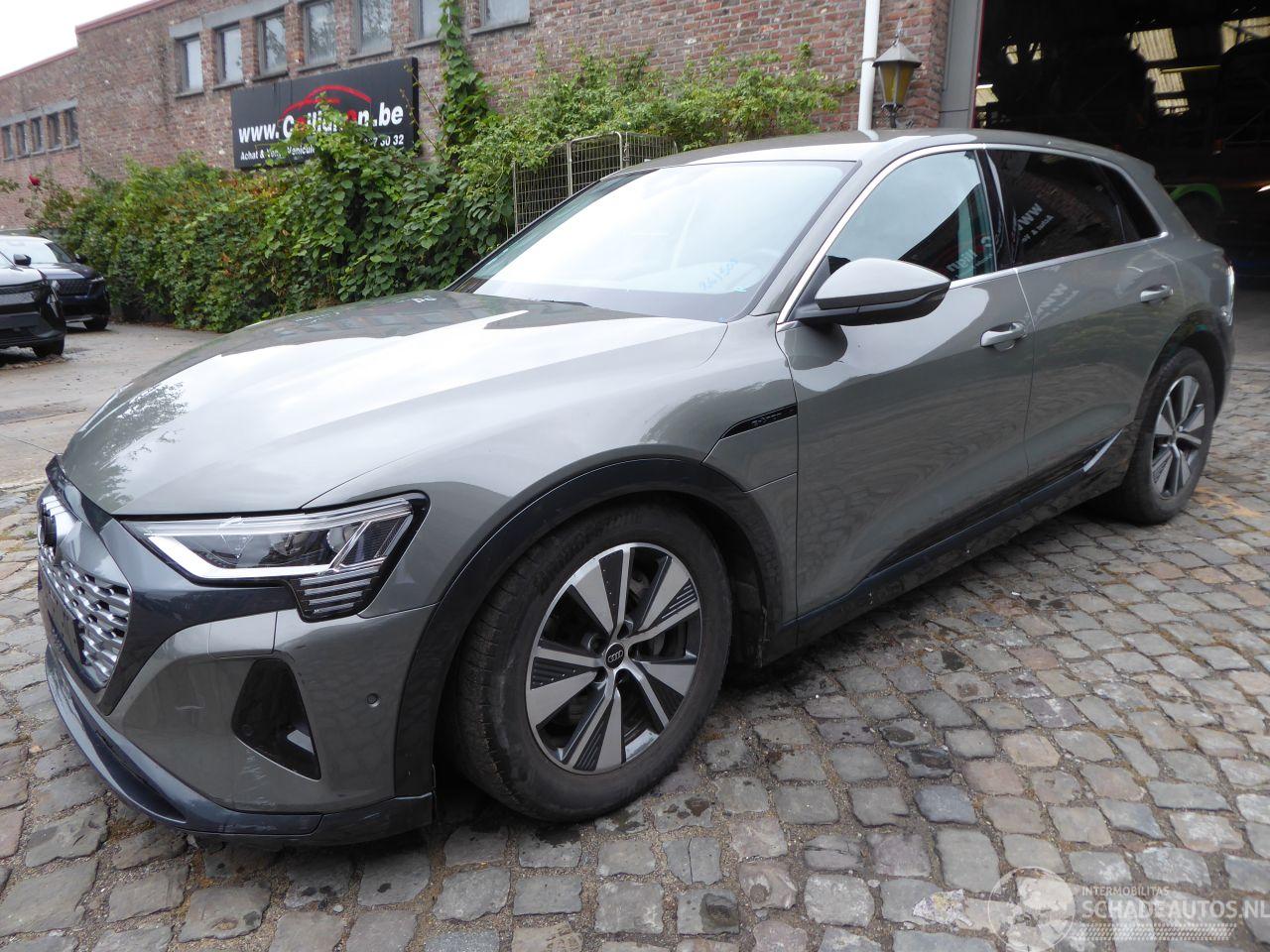 Audi Q8 e-tron 50 quattro advanced