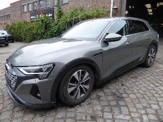 uszkodzony samochody osobowe Audi Q8 e-tron 50 quattro advanced 2024/8