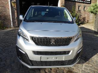 Peugeot Traveller active picture 2