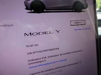 Tesla Model Y RWD picture 21