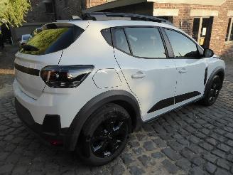 Dacia Sandero III Stepway Extreme picture 6