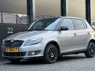 occasione autovettura Skoda Fabia 1.6 TDI Monte-Carlo Dak Navi Clima 2013/5
