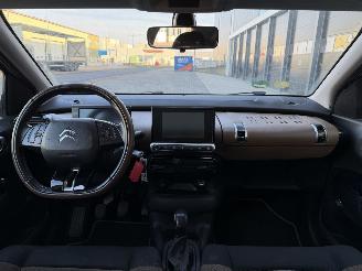 Citroën C4 cactus 1.6 BlueHDi Panorama Camera picture 8