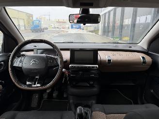 Citroën C4 cactus 1.6 BlueHDi Panorama Camera picture 5