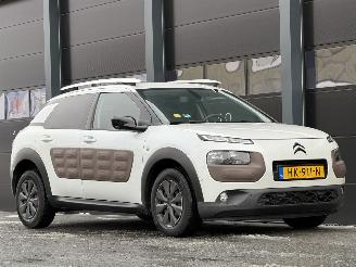 Citroën C4 cactus 1.6 BlueHDi Panorama Camera picture 2