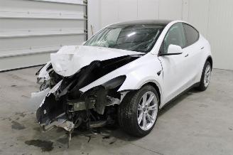 Damaged car Tesla Model Y  2023/1