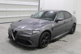 Auto da rottamare Alfa Romeo Giulia  2023/1