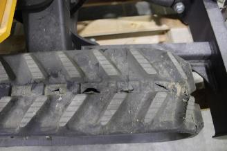 Rhinoceros XN11  picture 15